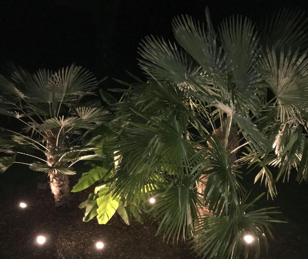 Ferienwohnung Palmengarten Lichtenstein  Eksteriør bilde