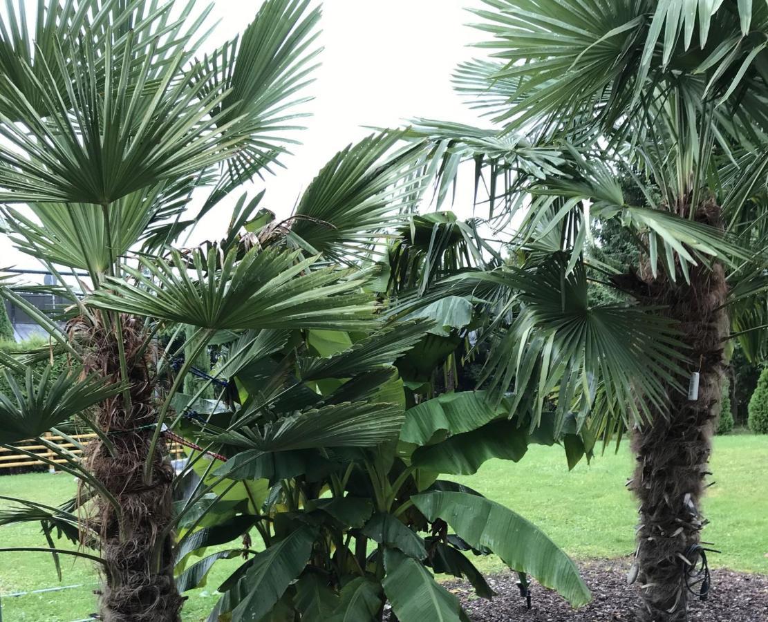 Ferienwohnung Palmengarten Lichtenstein  Eksteriør bilde